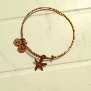 Alex and ani bangle